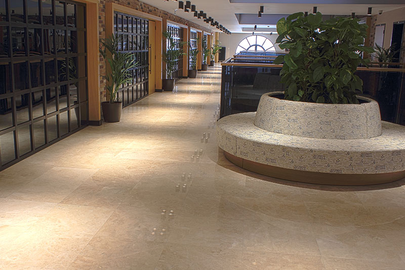 İpek Üniversitesi Projesi